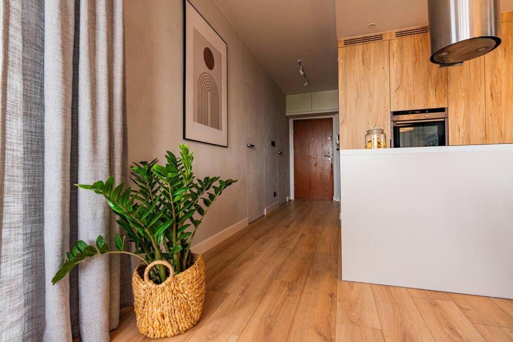 Apartament Na Grabiszynskiej 弗罗茨瓦夫 外观 照片