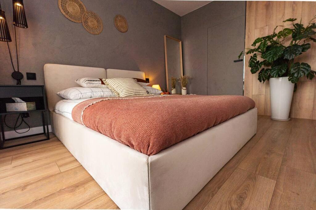Apartament Na Grabiszynskiej 弗罗茨瓦夫 外观 照片